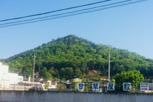 MUTSUニカルスキルのタイトルロゴ