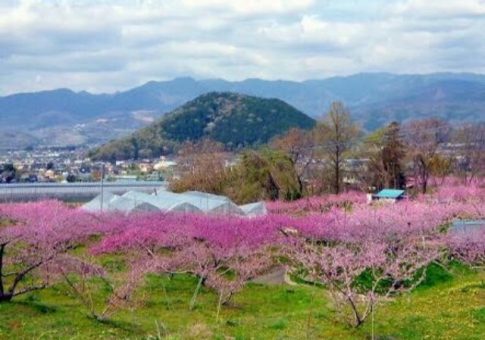 MUTSUニカルスキルのタイトルロゴ